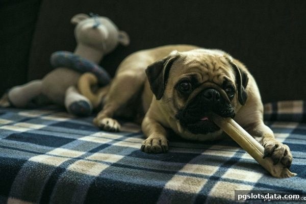 pg电子游戏充值优惠全攻略：合规渠道与快捷支付安全指南