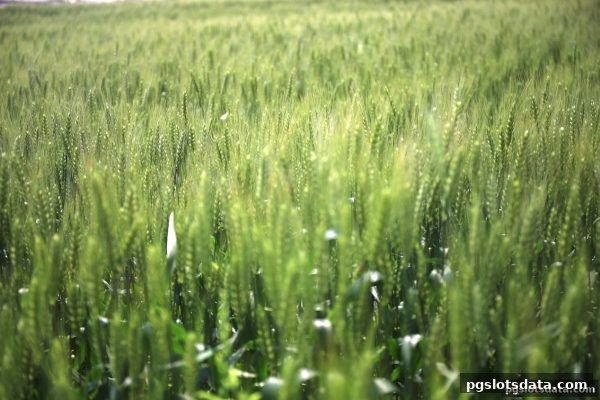 pg电子游戏平台签到活动全攻略：轻松拿奖励，盘口等你来